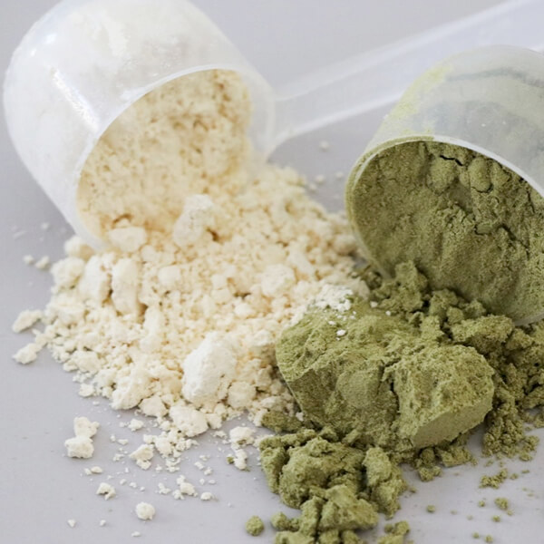 protein powder replacement