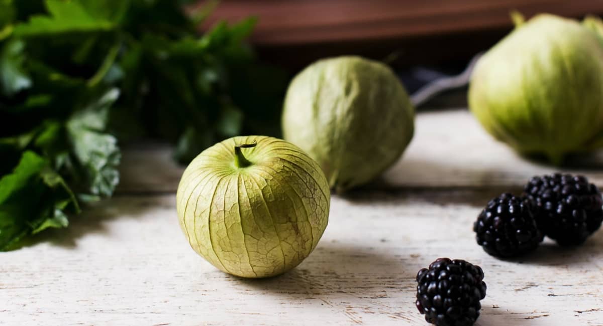 kimberly young nutrition tomatillo blackberries